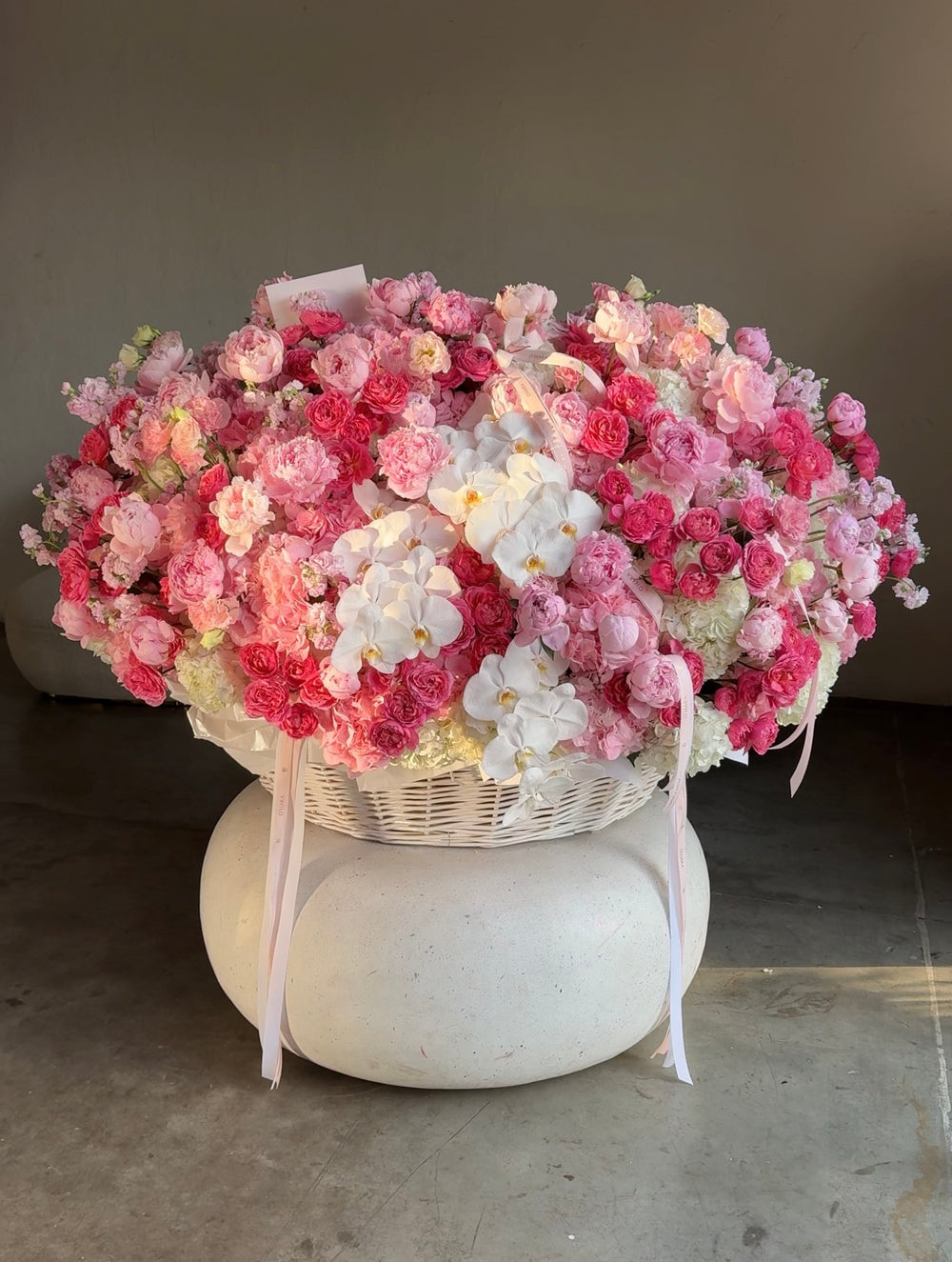 Raspberry Garden XXL