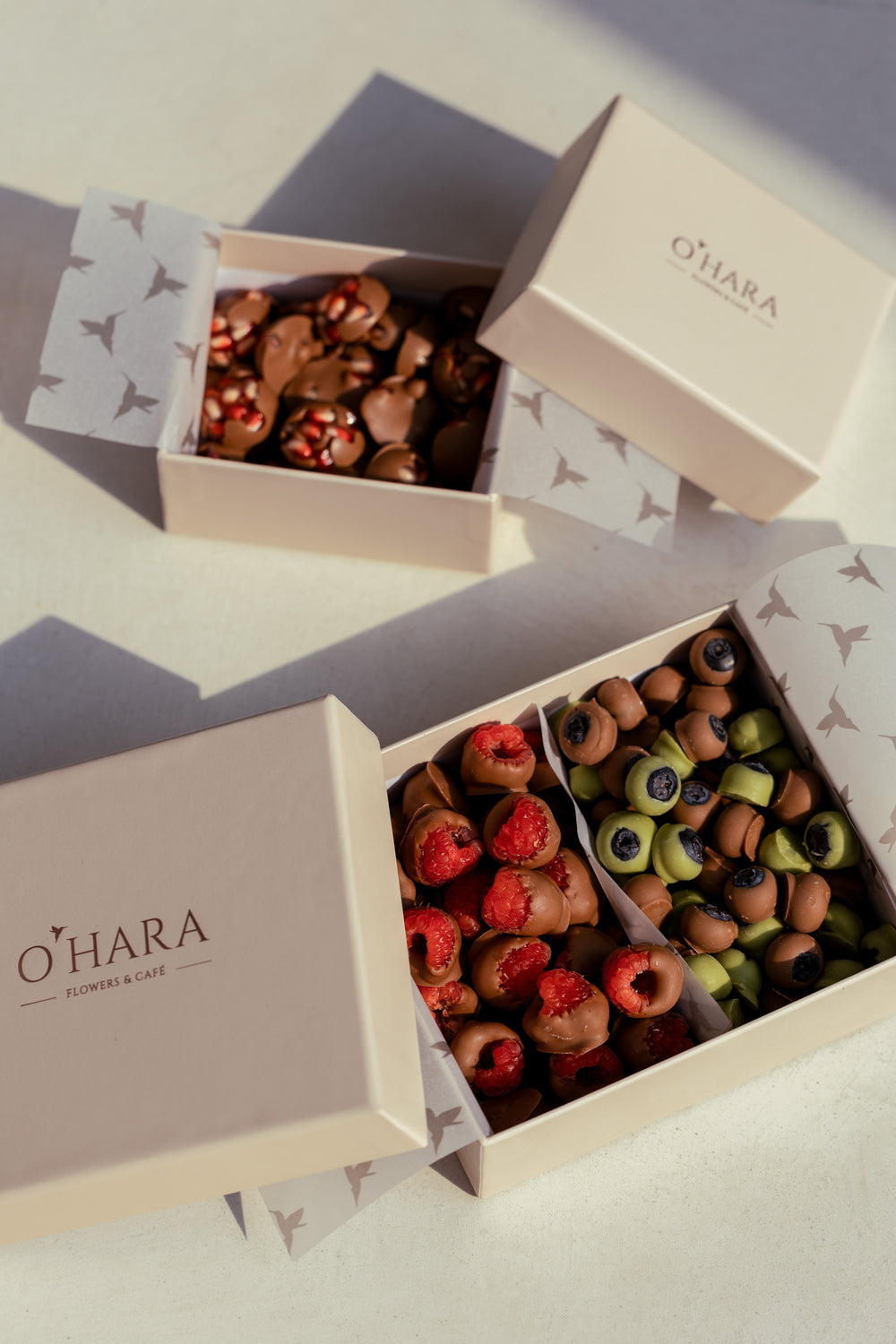 Medium Gift Box – Chocolate Covered Berries Mix