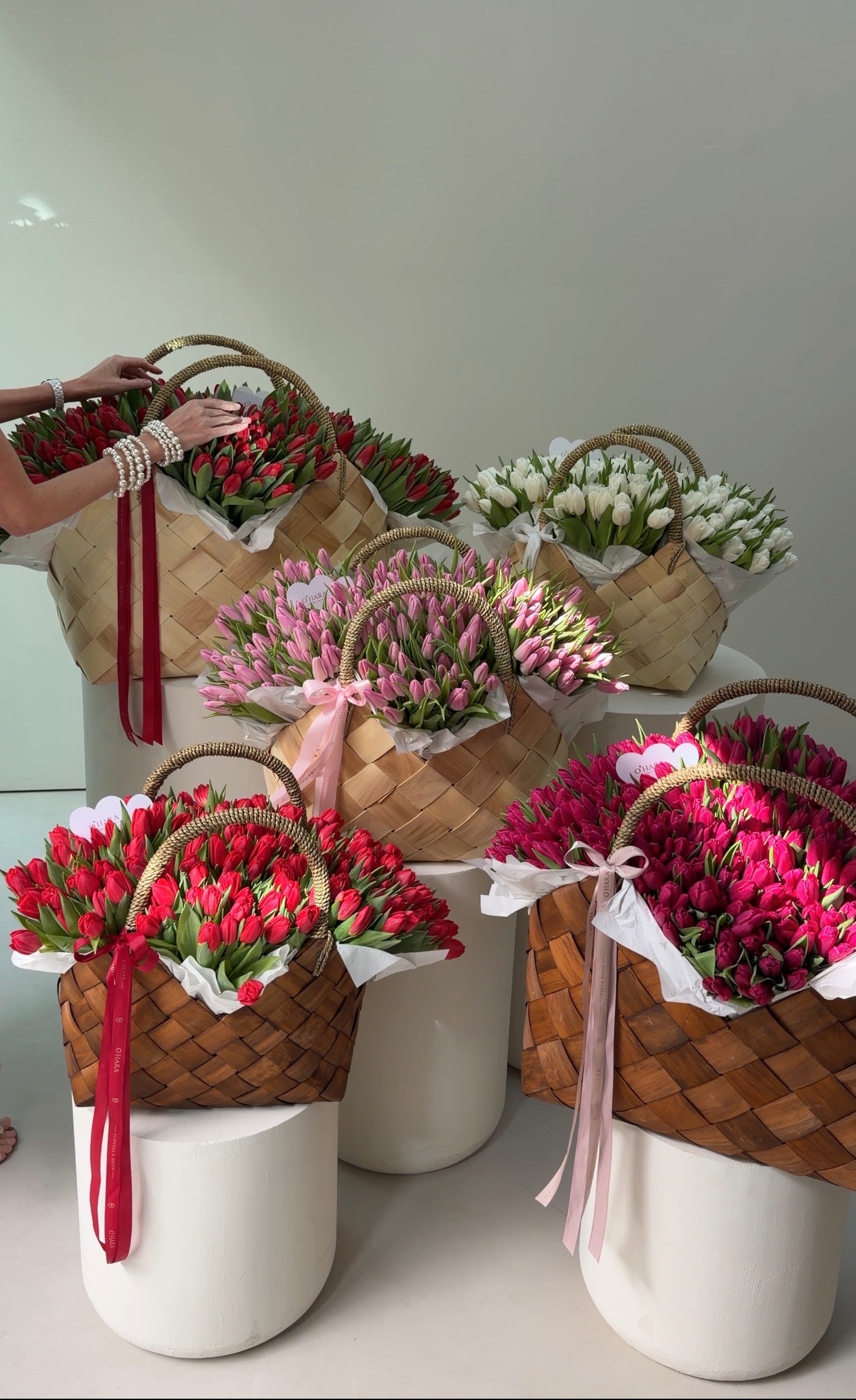 Tulip Room – Luxury Tulips in Baskets