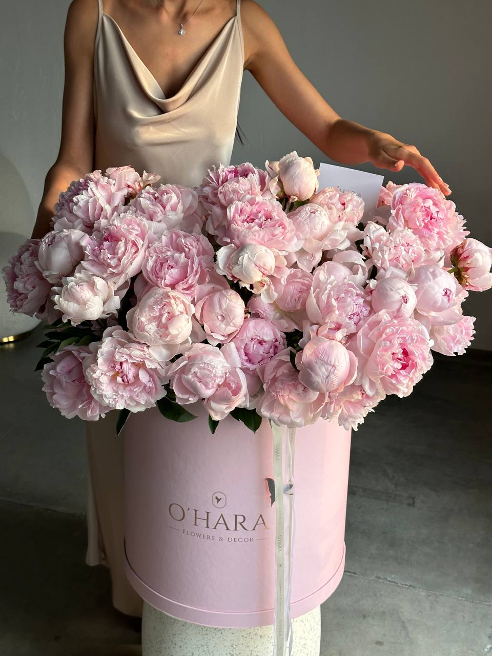 Peony dream
